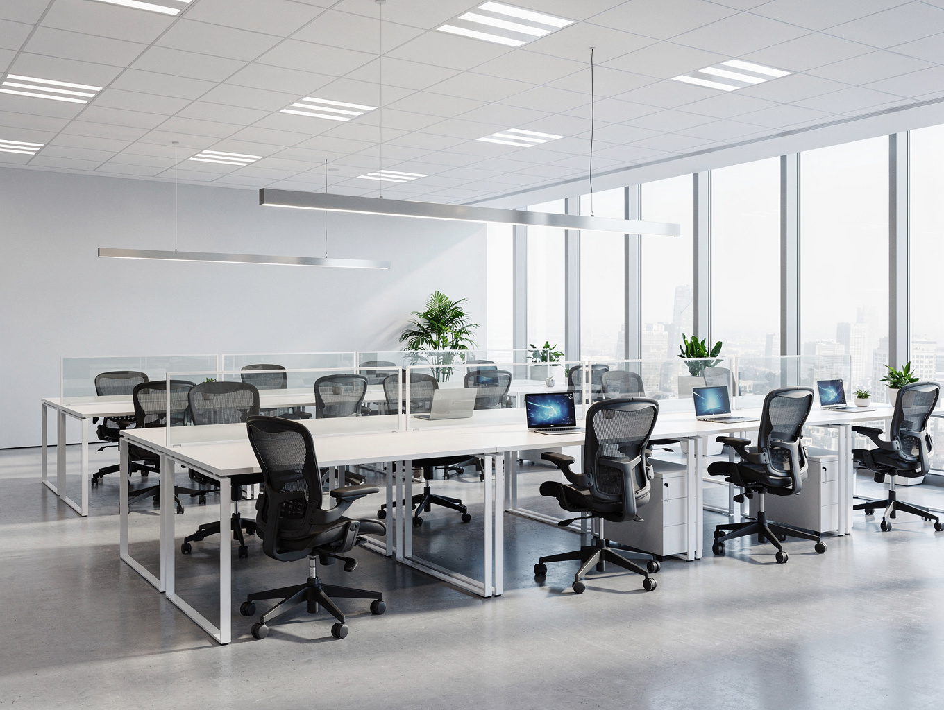 Modern commercial office renovation featuring clean lines, professional lighting, and high-quality finishes in Eastern North Carolina